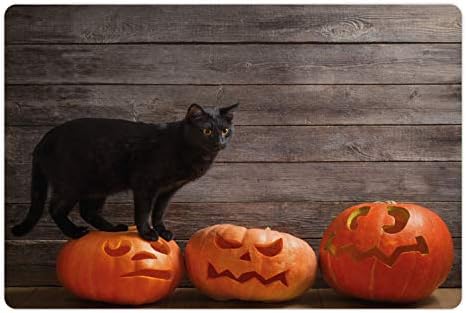 Foldout подложка за домашни любимци, като котки за Хелоуин за храна и вода, Снимка с Черна Котка на Страховити Издълбани Тикви,
