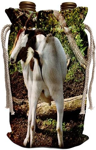 Картината и художественото оформление на 3dRose WhiteOaks - Кози - Краста - това е снимка на коза, която сърби - Винарска пакет (wbg_218802_1)