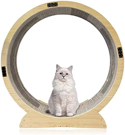 Колело за упражнения Котка, Треньор Cat Wheel за котки в затворени помещения, Колело за бягане на Котки с предохранителем, Цвят